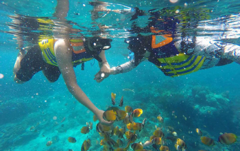 East Trip Snorkeling 1 Day Tour Krisa Bali Tours