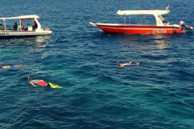 Nusa Penida Snorkeling Krisa Bali Tours