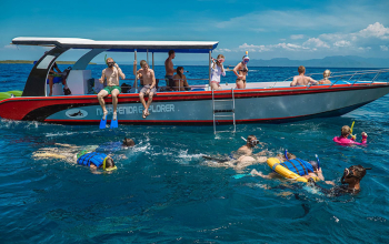 Snorkeling Package Nusa Penida Krisa Bali Tours